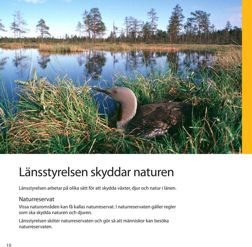 Naturreservat Vissa naturområden kan få kallas naturreservat.