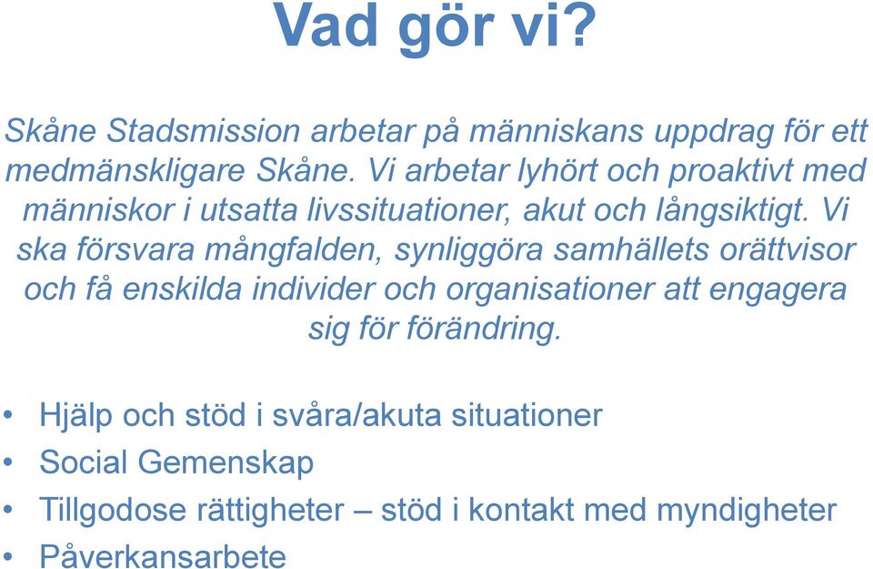 Vi ska försvara mångfalden, synliggöra samhällets orättvisor och få enskilda individer och organisationer att