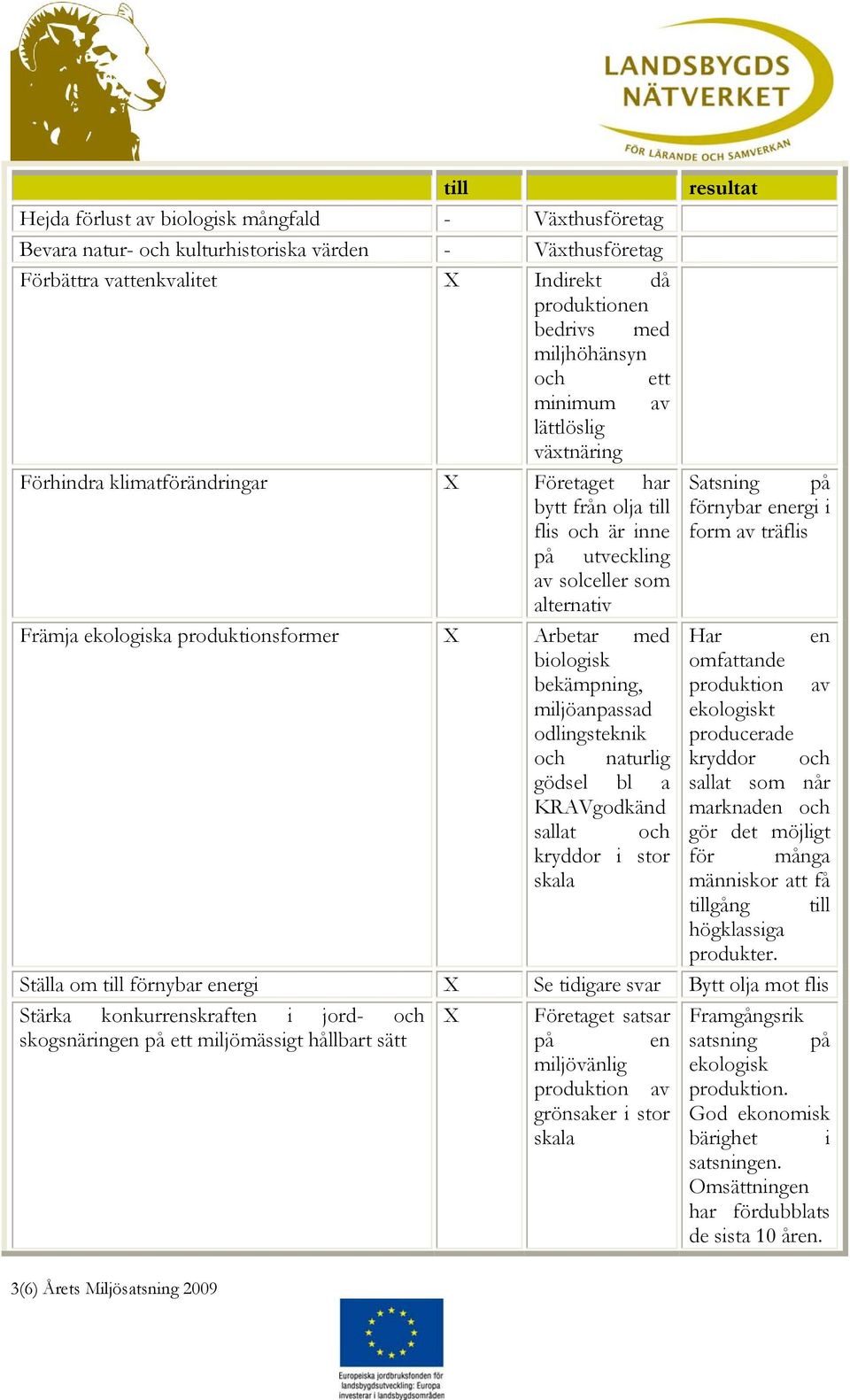 Arbetar med biologisk bekämpning, miljöanpassad odlingsteknik och naturlig gödsel bl a KRAVgodkänd sallat och kryddor i stor skala 3(6) Årets Miljösatsning 2009 resultat Satsning på förnybar energi i