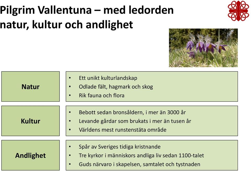 som brukats i mer än tusen år Världens mest runstenstäta område Andlighet Spår av Sveriges tidiga