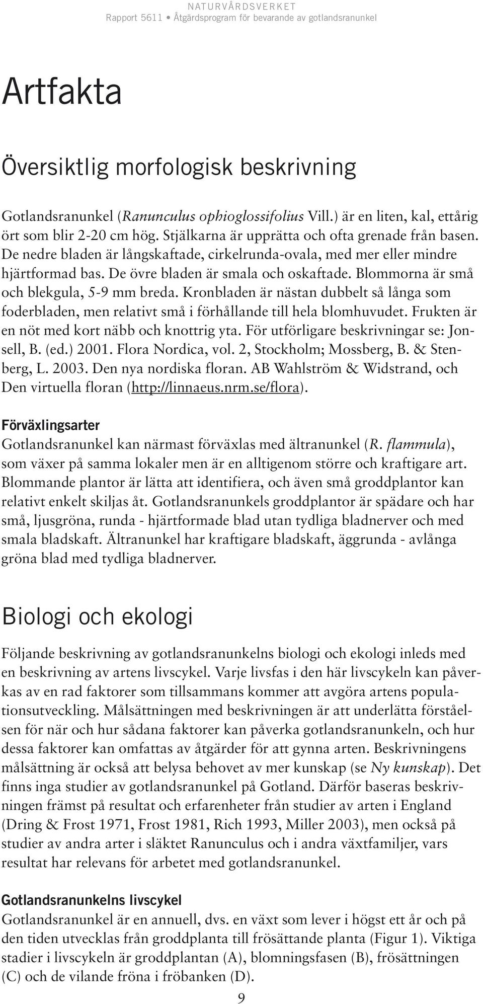 Blommorna är små och blekgula, 5-9 mm breda. Kronbladen är nästan dubbelt så långa som foderbladen, men relativt små i förhållande till hela blomhuvudet.