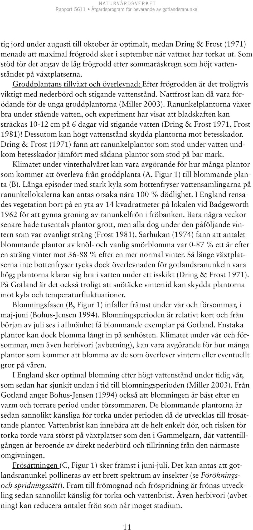 Groddplantans tillväxt och överlevnad: Efter frögrodden är det troligtvis viktigt med nederbörd och stigande vattenstånd. Nattfrost kan då vara förödande för de unga groddplantorna (Miller 2003).