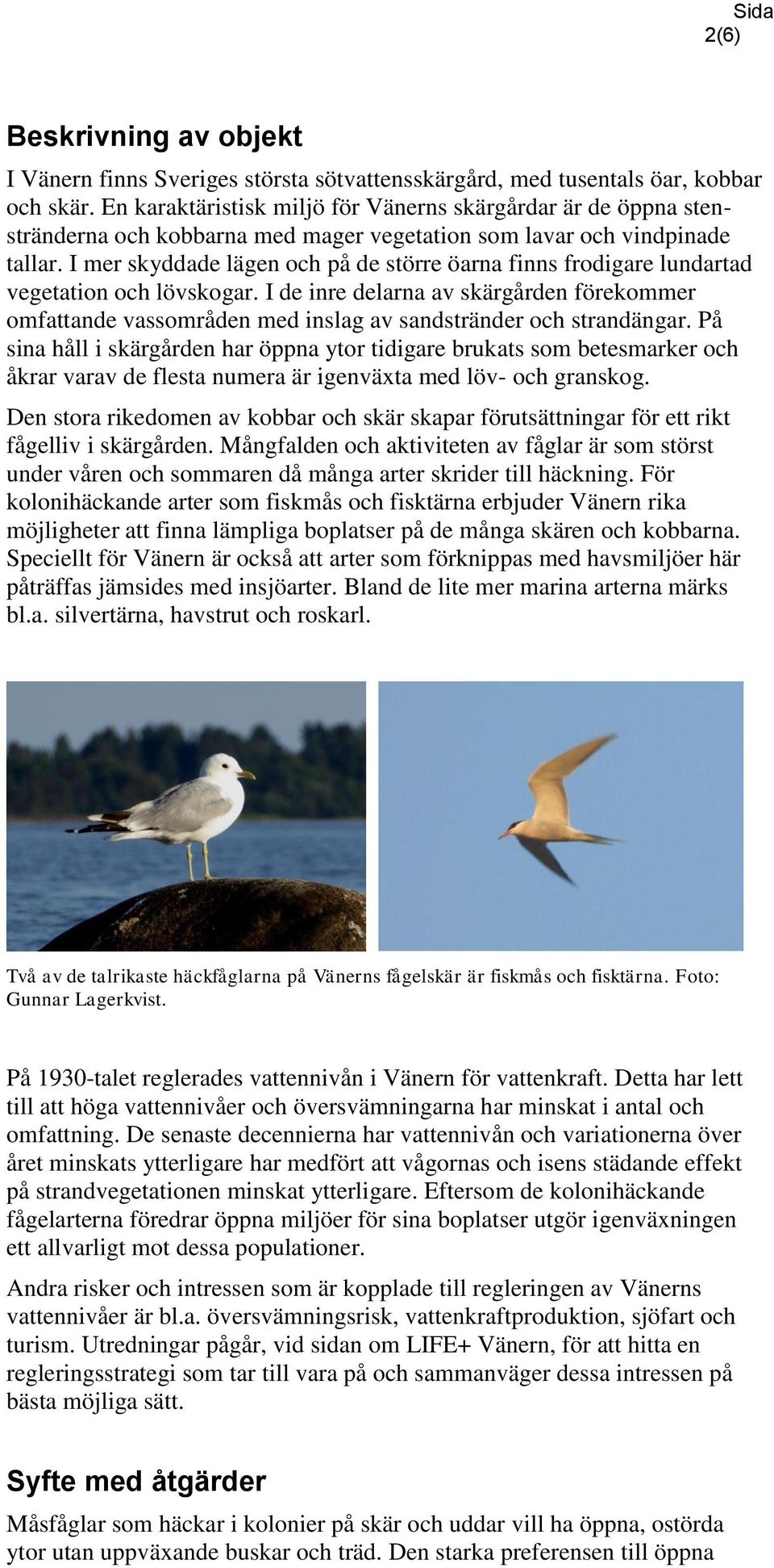 I mer skyddade lägen och på de större öarna finns frodigare lundartad vegetation och lövskogar.