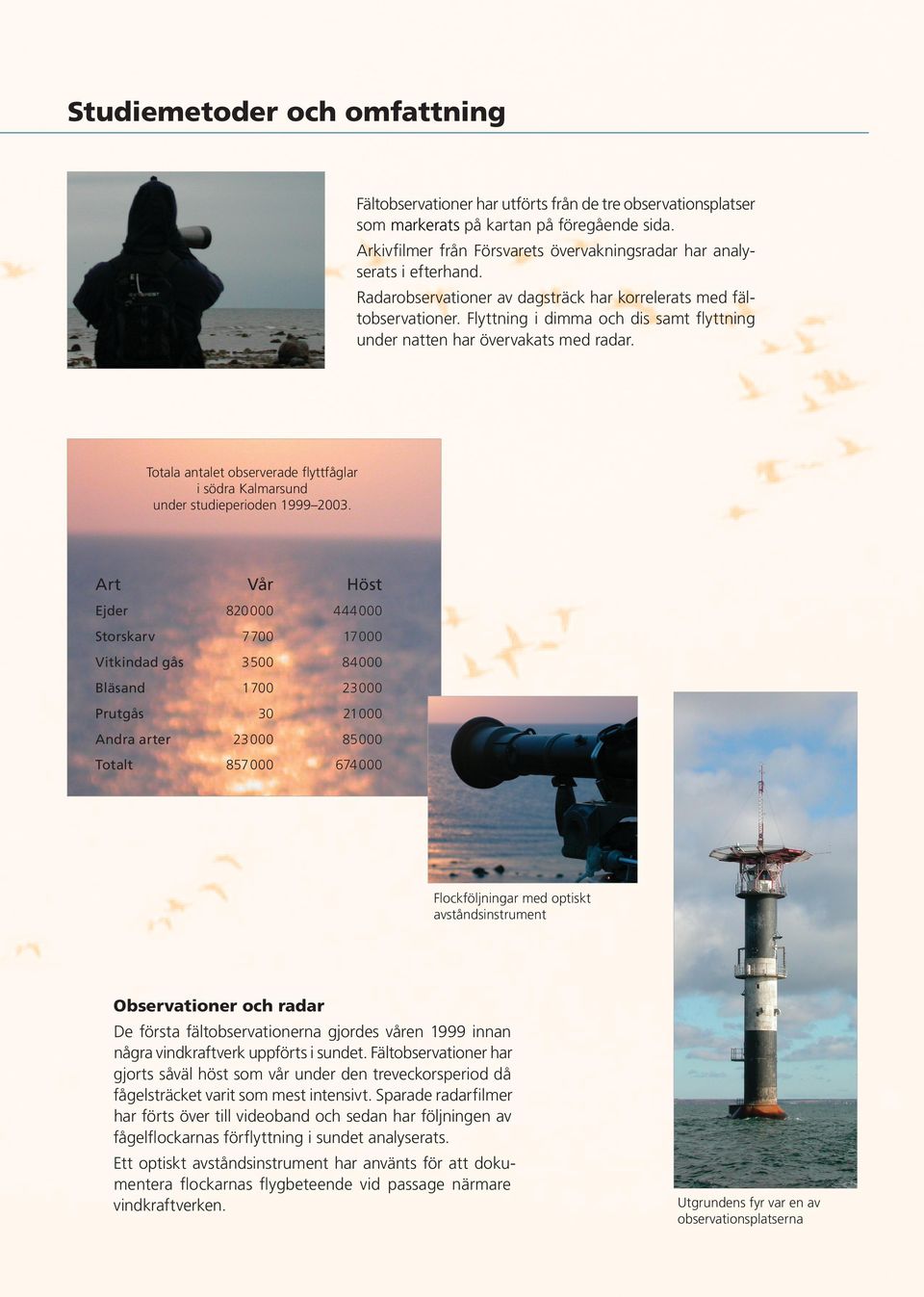 Flyttning i dimma och dis samt flyttning under natten har övervakats med radar. Totala antalet observerade flyttfåglar i södra Kalmarsund under studieperioden 1999 03.