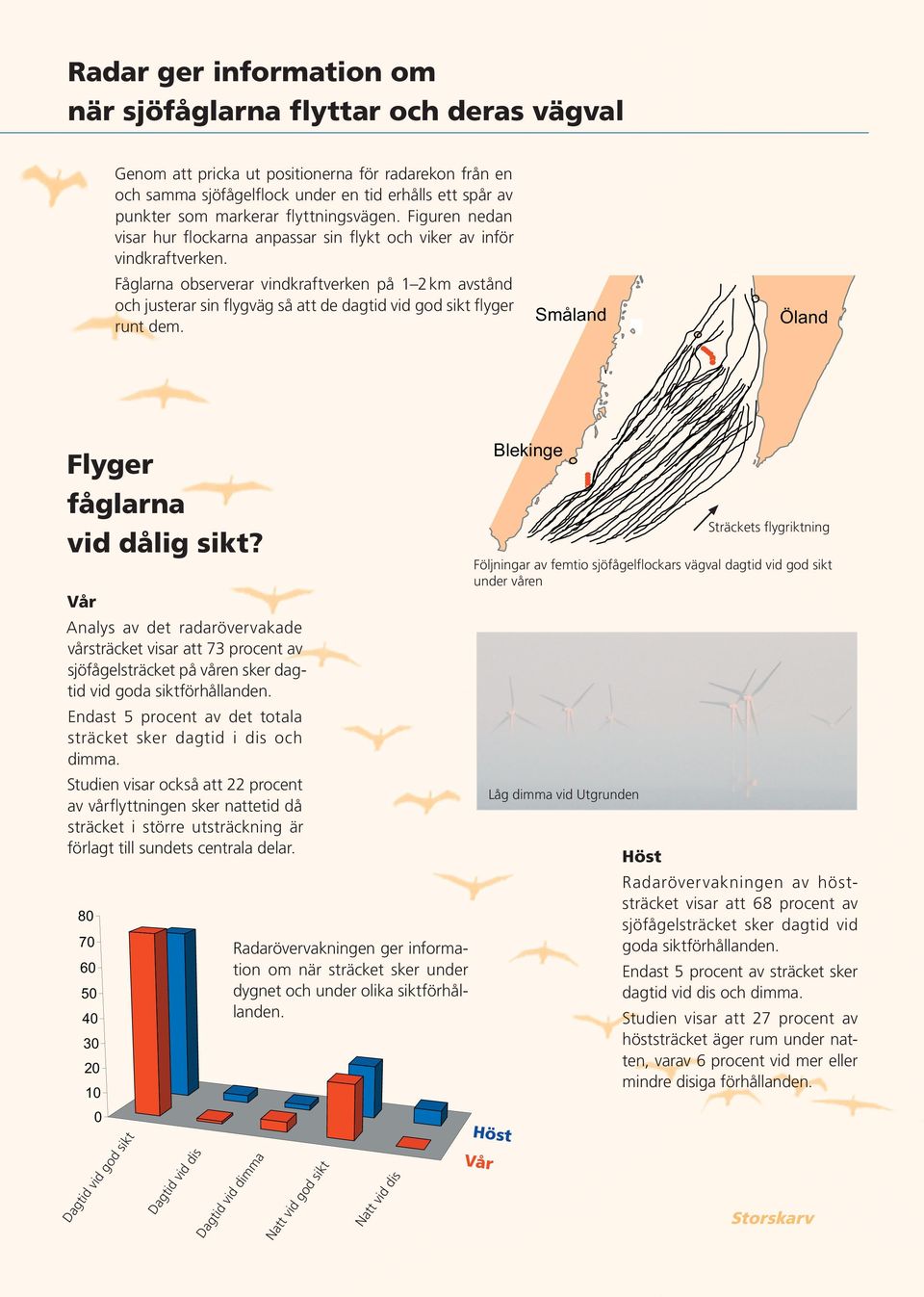 Fåglarna observerar vindkraftverken på 1 2km avstånd och justerar sin flygväg så att de dagtid vid god sikt flyger runt dem. Småland Öland Flyger fåglarna vid dålig sikt?