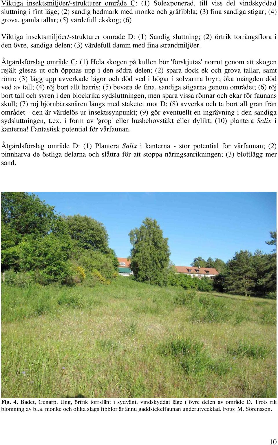 Åtgärdsförslag område C: (1) Hela skogen på kullen bör 'förskjutas' norrut genom att skogen rejält glesas ut och öppnas upp i den södra delen; (2) spara dock ek och grova tallar, samt rönn; (3) lägg