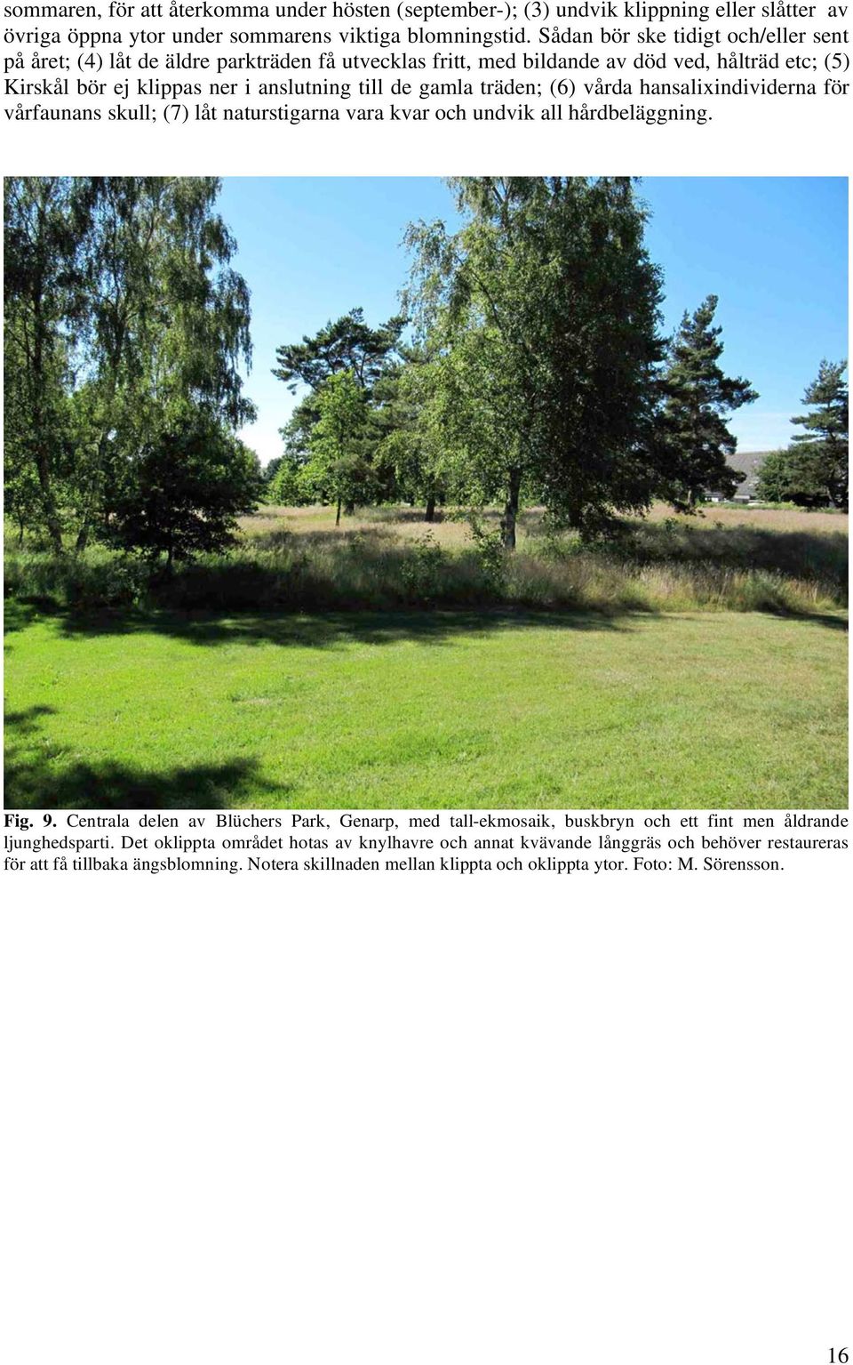träden; (6) vårda hansaliindividerna för vårfaunans skull; (7) låt naturstigarna vara kvar och undvik all hårdbeläggning. Fig. 9.