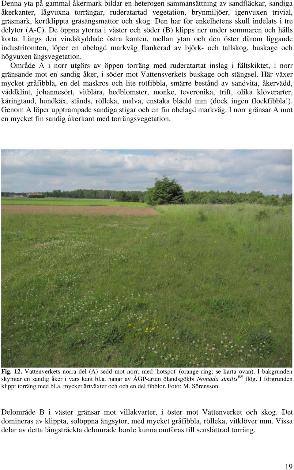 Längs den vindskyddade östra kanten, mellan ytan och den öster därom liggande industritomten, löper en obelagd markväg flankerad av björk- och tallskog, buskage och högvuen ängsvegetation.