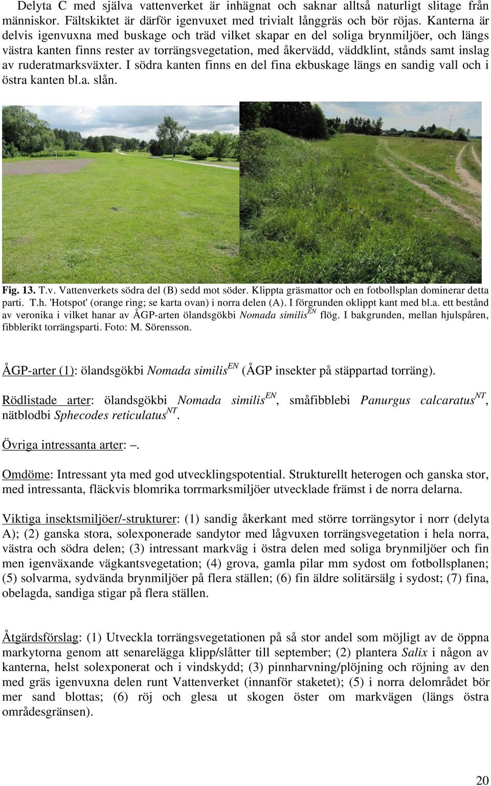 ruderatmarksväter. I södra kanten finns en del fina ekbuskage längs en sandig vall och i östra kanten bl.a. slån. Fig. 13. T.v. Vattenverkets södra del (B) sedd mot söder.