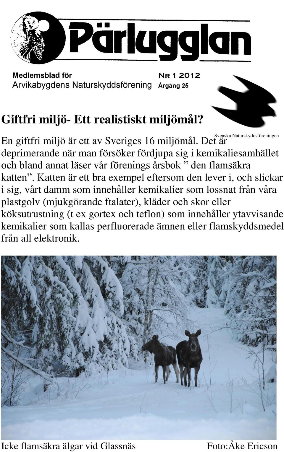 Det är deprimerande när man försöker fördjupa sig i kemikaliesamhället och bland annat läser vår förenings årsbok den flamsäkra katten.