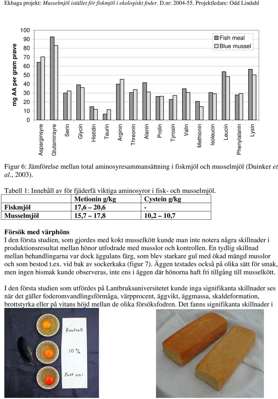 Tabell 1: Innehåll av för fjäderfä viktiga aminosyror i fisk- och musselmjöl.