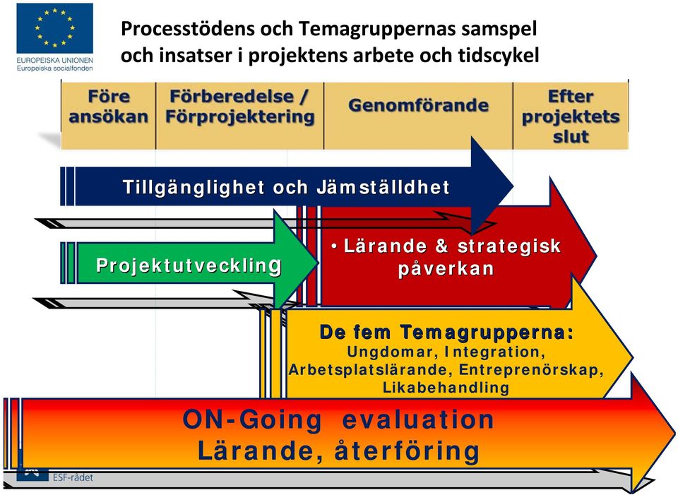 strategisk påverkan De fem Temagrupperna: Ungdomar, Integration,