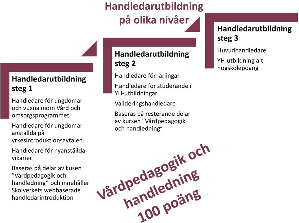 Handledare för nyanställda vikarier Baseras på delar av kusen Vårdpedagogik och handledning och innehåller Skolverkets webbaserade