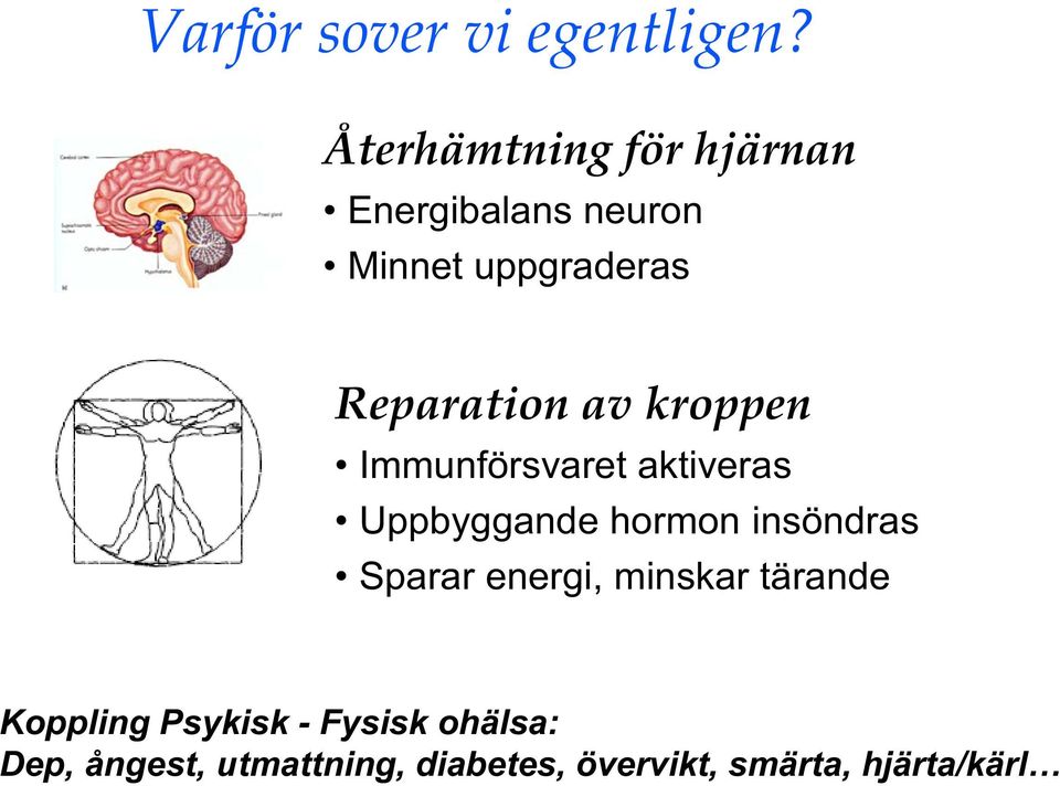 av kroppen Immunförsvaret aktiveras Uppbyggande hormon insöndras Sparar