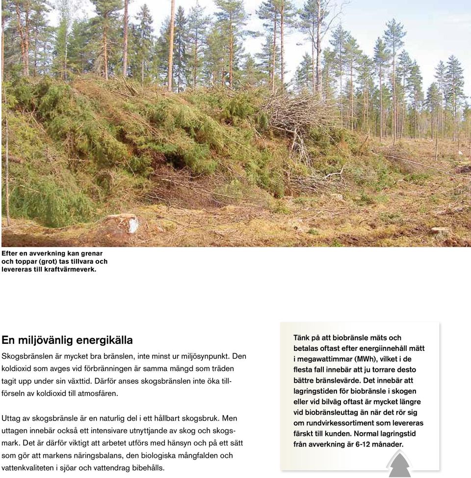 Uttag av skogsbränsle är en naturlig del i ett hållbart skogsbruk. Men uttagen innebär också ett intensivare utnyttjande av skog och skogsmark.