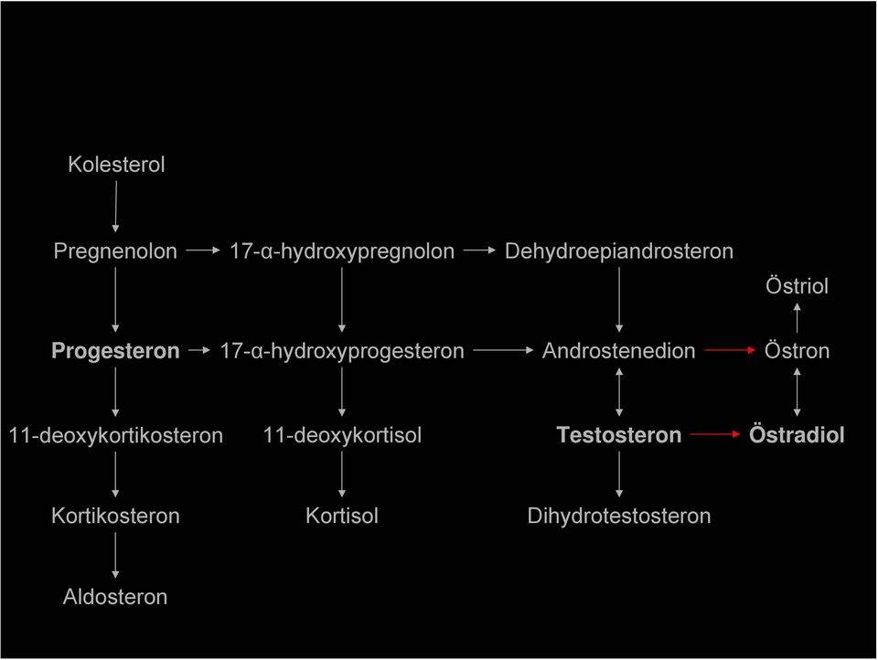 17-α-hydroxyprogesteron Androstenedion Östron