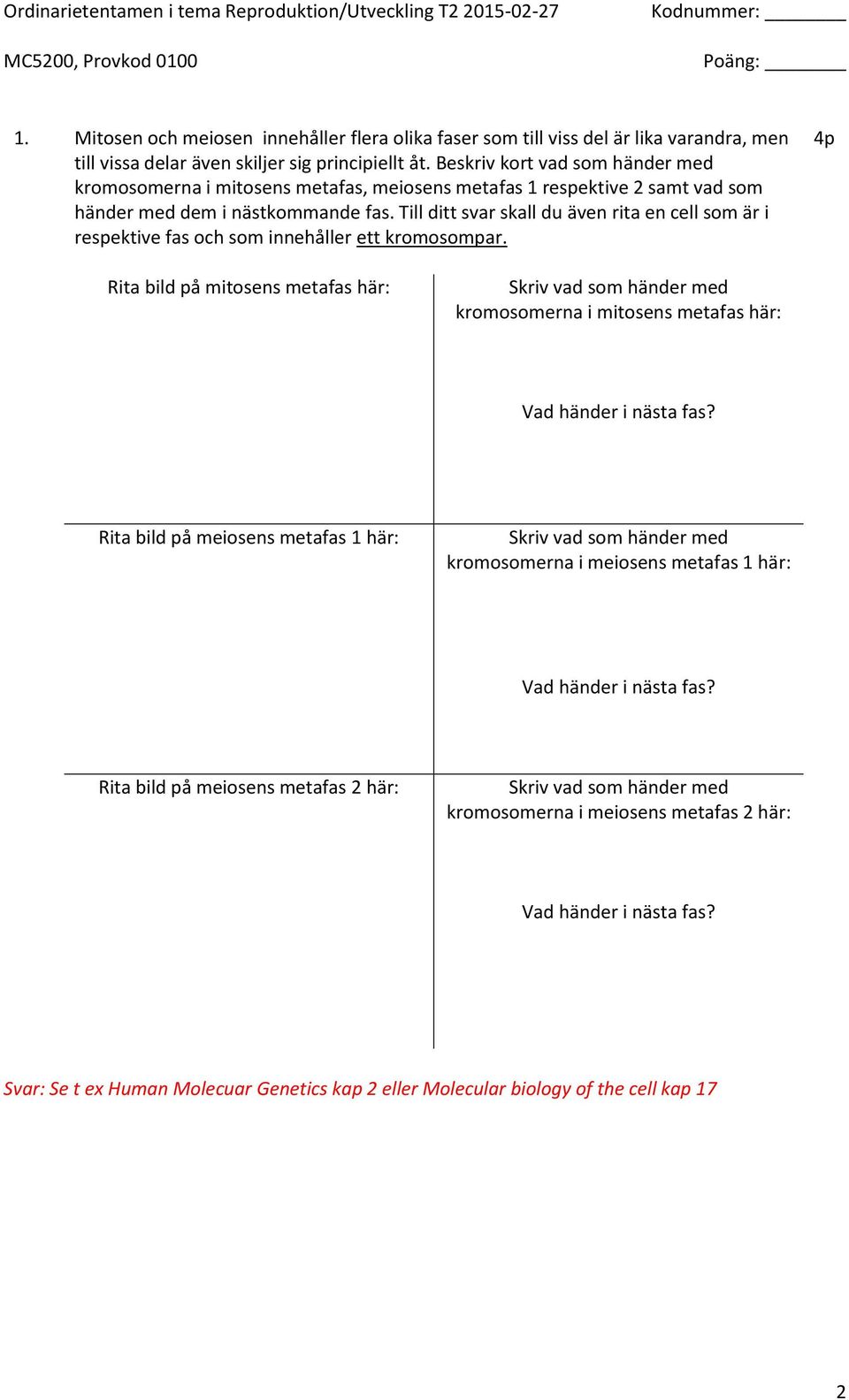 Till ditt svar skall du även rita en cell som är i respektive fas och som innehåller ett kromosompar.