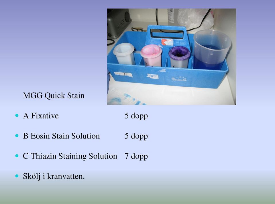 dopp C Thiazin Staining