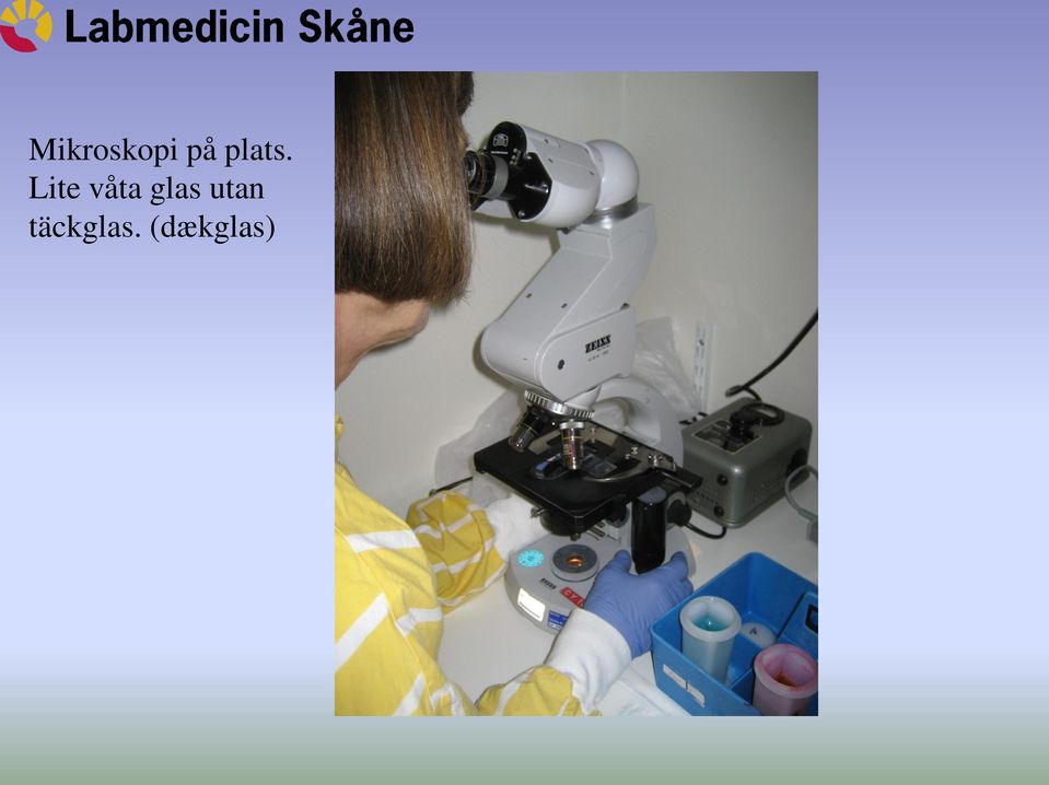 Lite våta glas