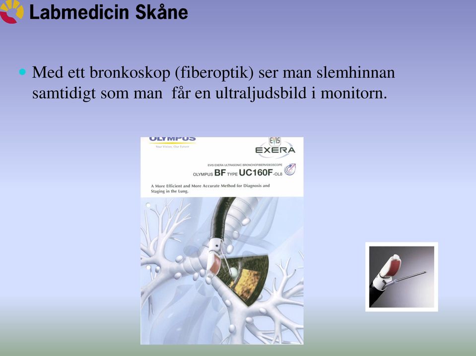slemhinnan samtidigt som