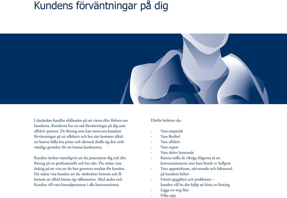 Kunden önskar naturligtvis att du presenterar dig och ditt företag på ett professionellt och bra sätt. Du måste vara duktig på att visa att du kan generera resultat för kunden.