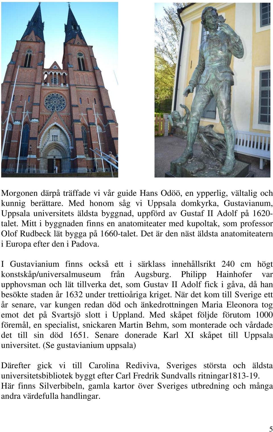 Mitt i byggnaden finns en anatomiteater med kupoltak, som professor Olof Rudbeck lät bygga på 1660-talet. Det är den näst äldsta anatomiteatern i Europa efter den i Padova.