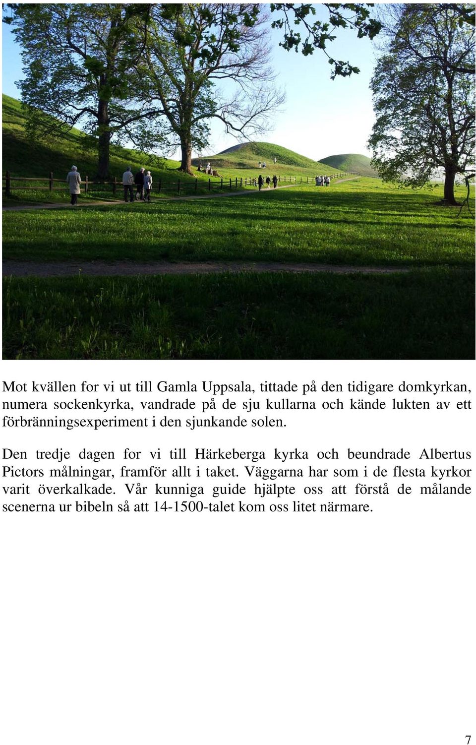 Den tredje dagen for vi till Härkeberga kyrka och beundrade Albertus Pictors målningar, framför allt i taket.