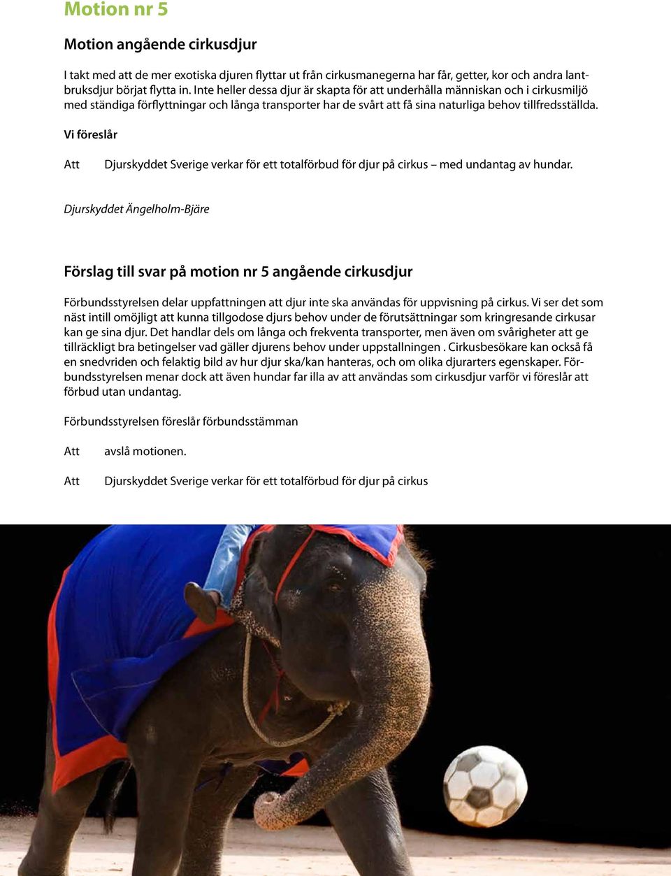 Djurskyddet Sverige verkar för ett totalförbud för djur på cirkus med undantag av hundar.