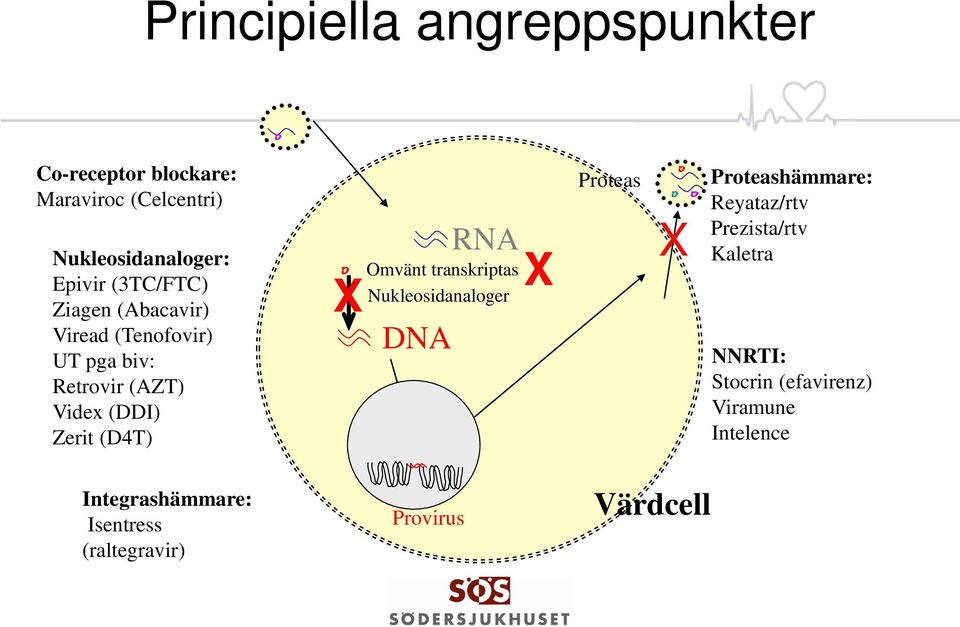 RNA X Omvänt transkriptas Nukleosidanaloger DNA Proteas X Proteashämmare: Reyataz/rtv Prezista/rtv