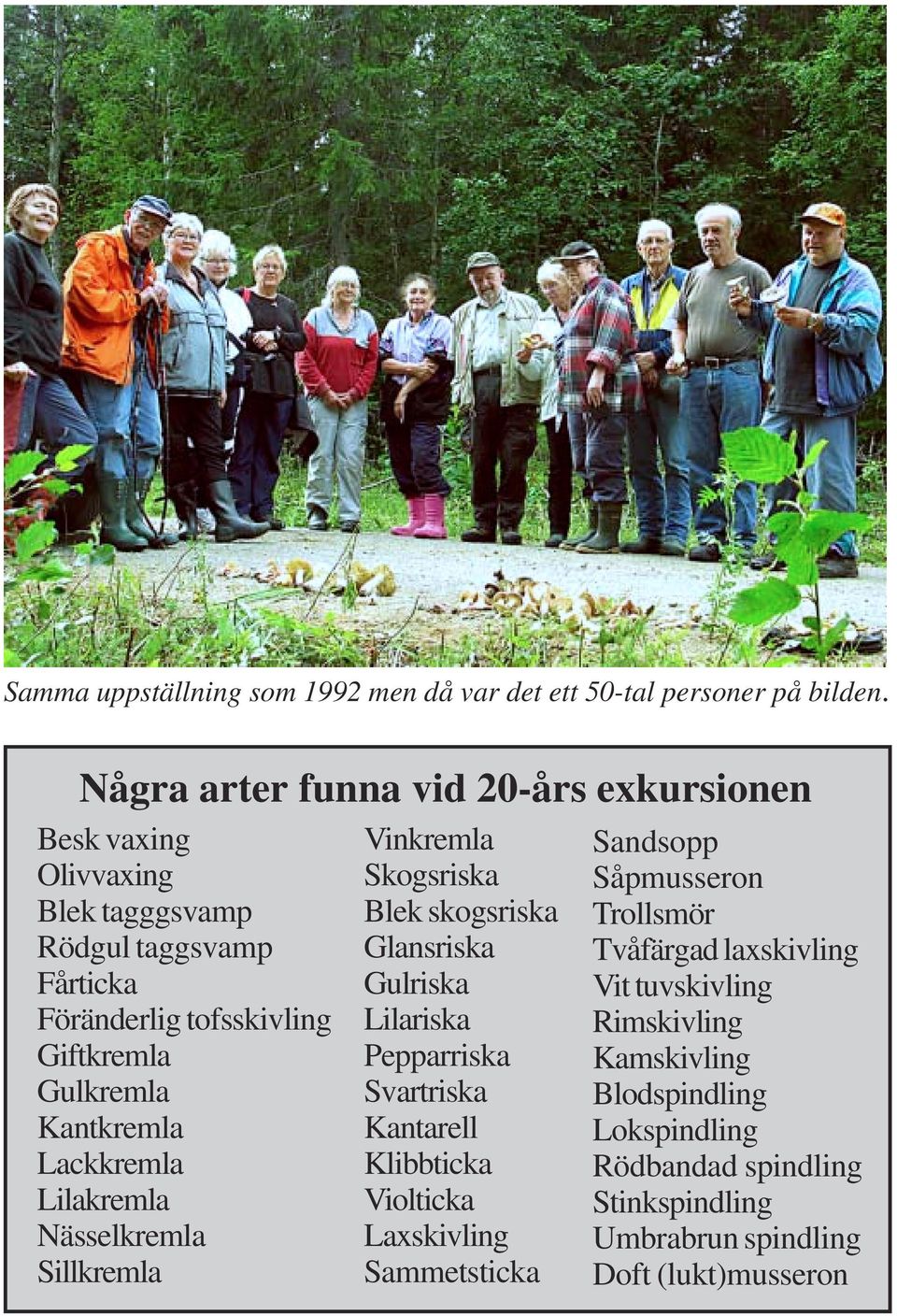 Kantkremla Lackkremla Lilakremla Nässelkremla Sillkremla Vinkremla Skogsriska Blek skogsriska Glansriska Gulriska Lilariska Pepparriska Svartriska