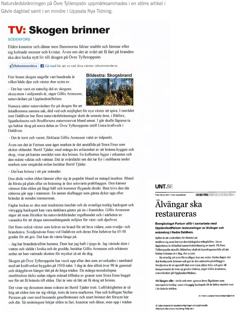 större artikel i Gävle dagblad