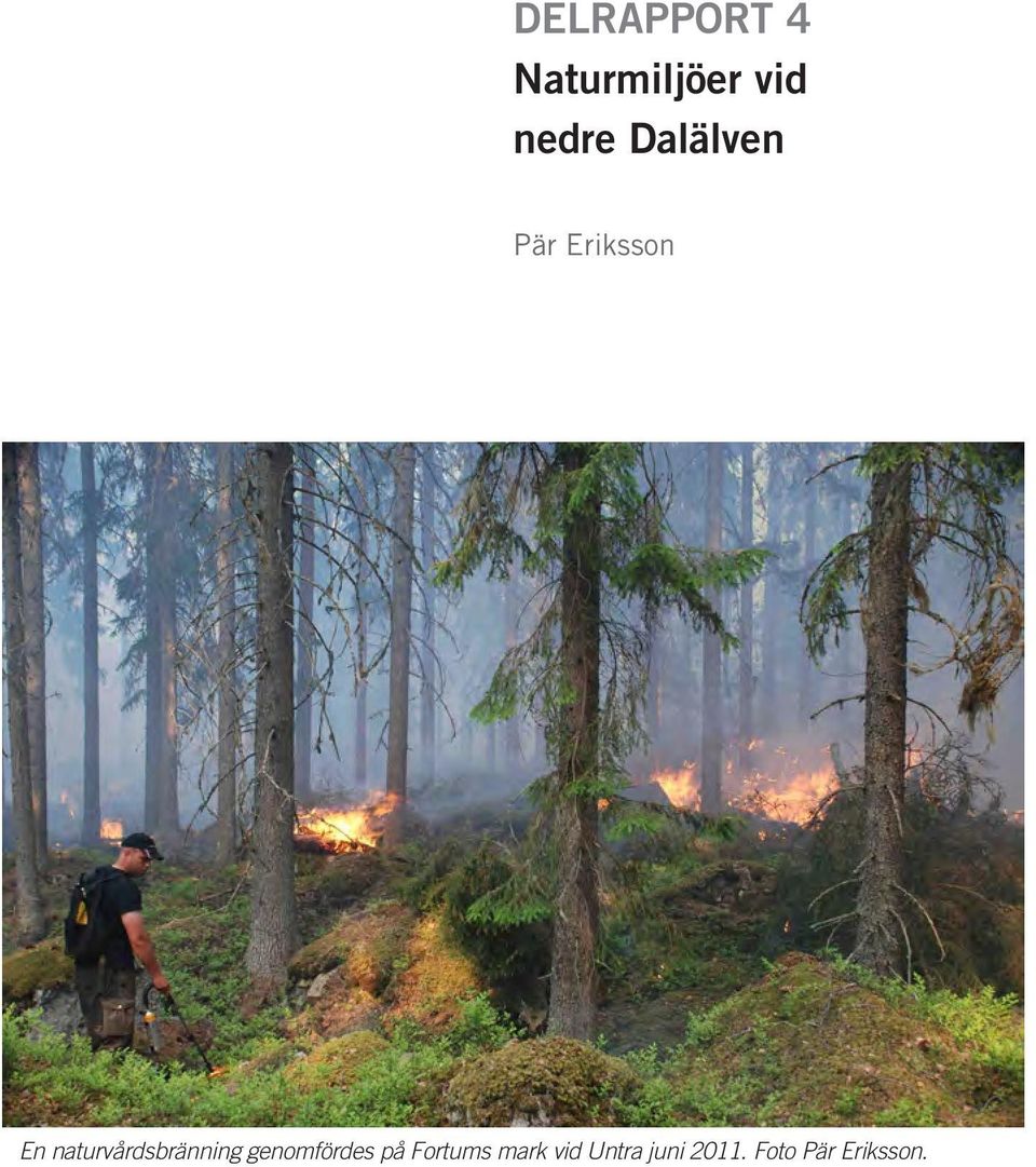 naturvårdsbränning genomfördes på
