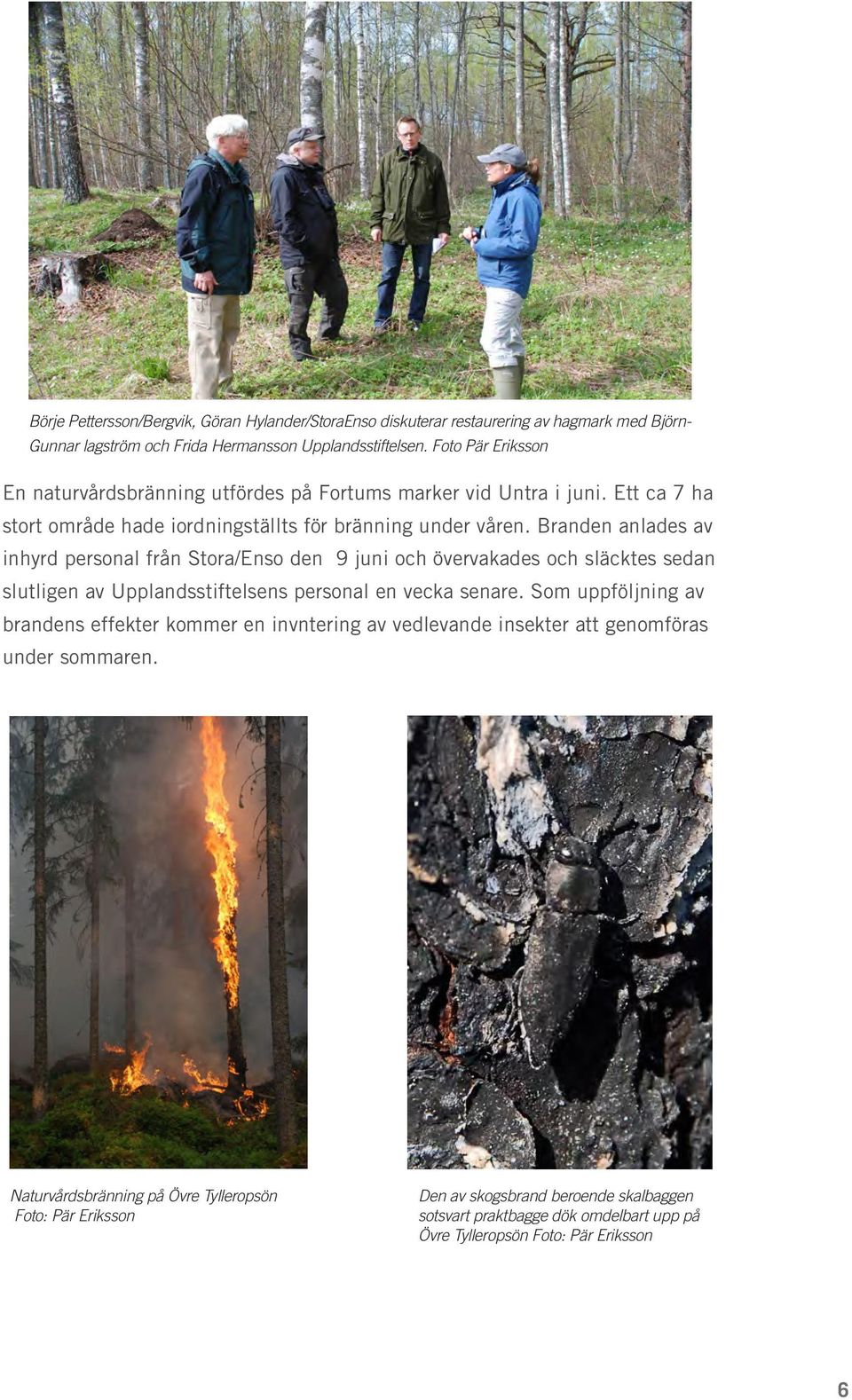 Branden anlades av inhyrd personal från Stora/Enso den 9 juni och övervakades och släcktes sedan slutligen av Upplandsstiftelsens personal en vecka senare.