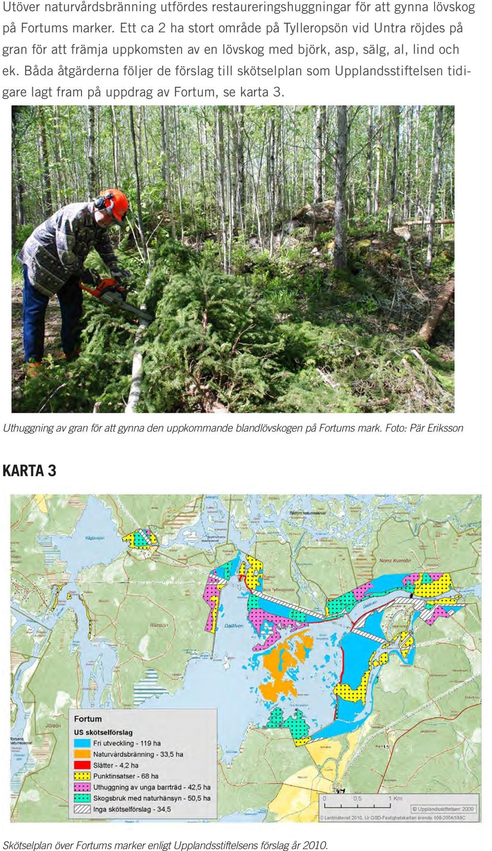 och ek. Båda åtgärderna följer de förslag till skötselplan som Upplandsstiftelsen tidigare lagt fram på uppdrag av Fortum, se karta 3.