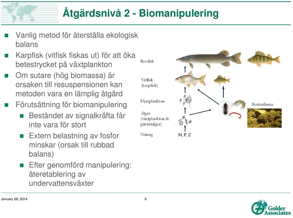 åtgärd Förutsättning för biomanipulering Beståndet av signalkräfta får inte vara för stort Extern belastning av