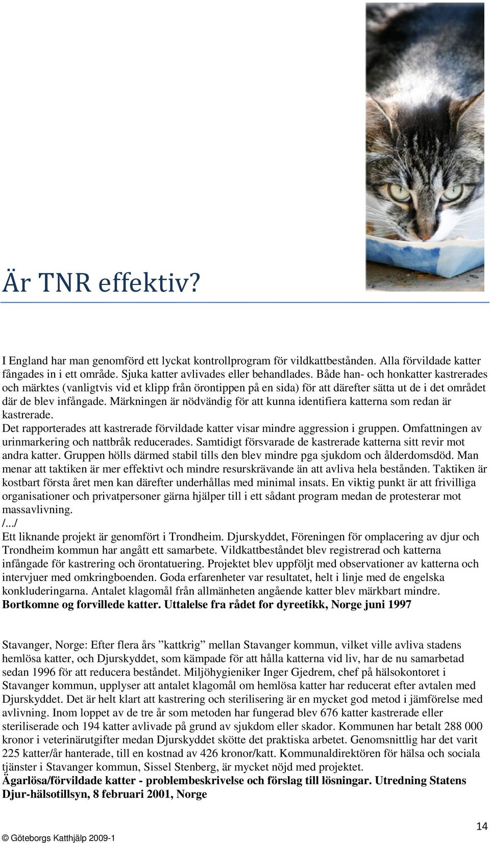 Märkningen är nödvändig för att kunna identifiera katterna som redan är kastrerade. Det rapporterades att kastrerade förvildade katter visar mindre aggression i gruppen.