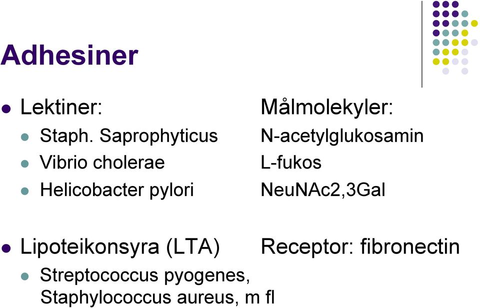 Helicobacter pylori NeuNAc2,3Gal Lipoteikonsyra (LTA)