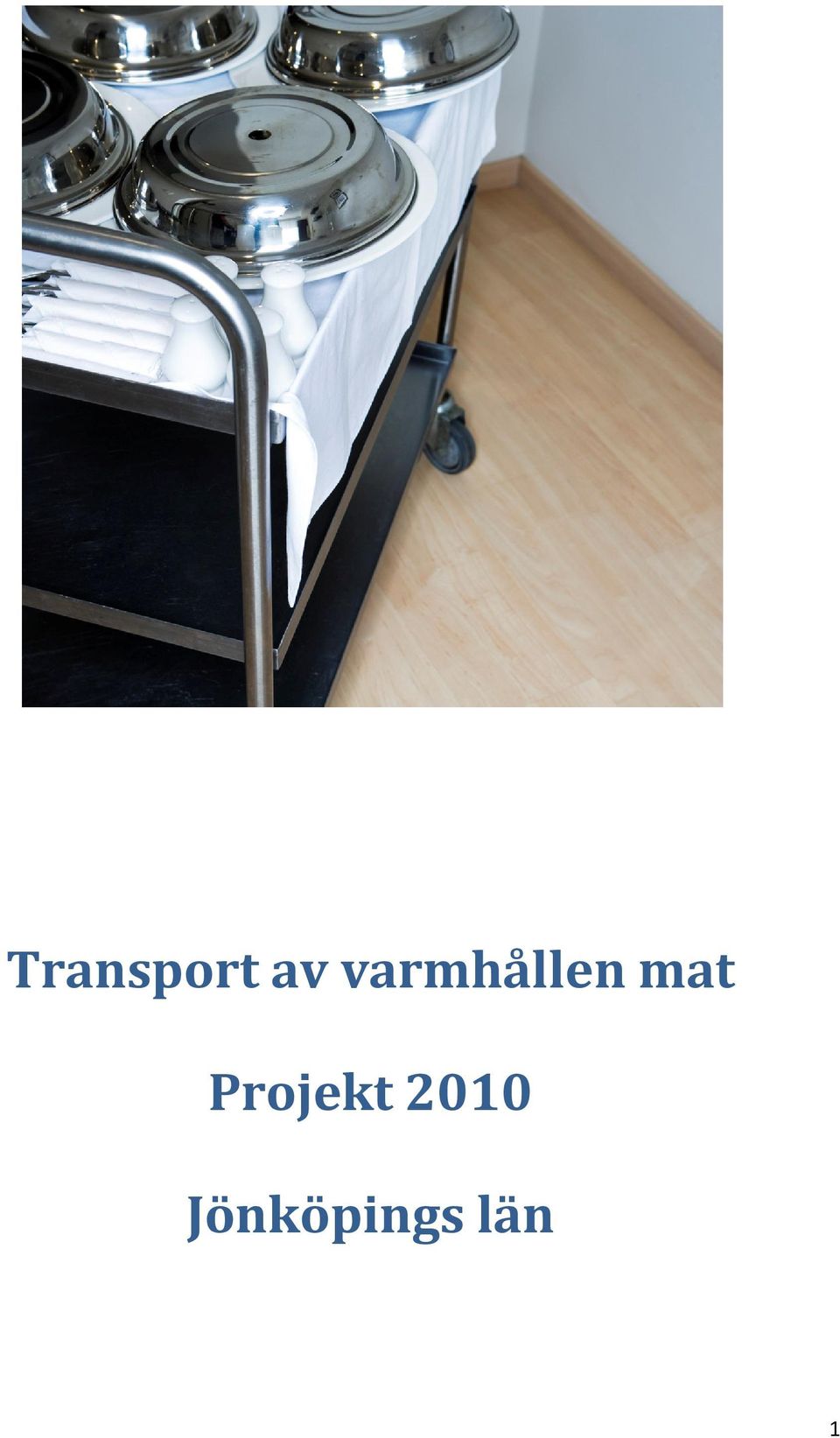 Projekt 2010