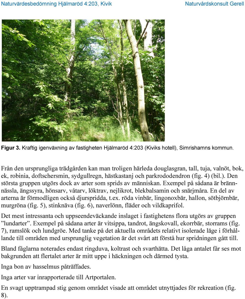 (bil.). Den största gruppen utgörs dock av arter som sprids av människan. Exempel på sådana är brännnässla, ängssyra, hönsarv, våtarv, löktrav, nejlikrot, blekbalsamin och snärjmåra.