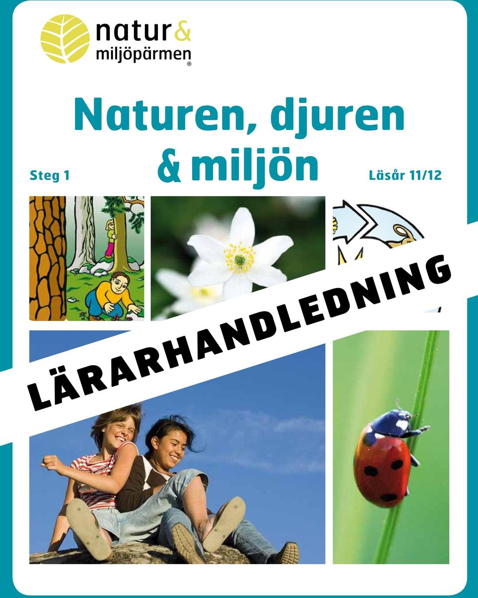 miljön Steg 1