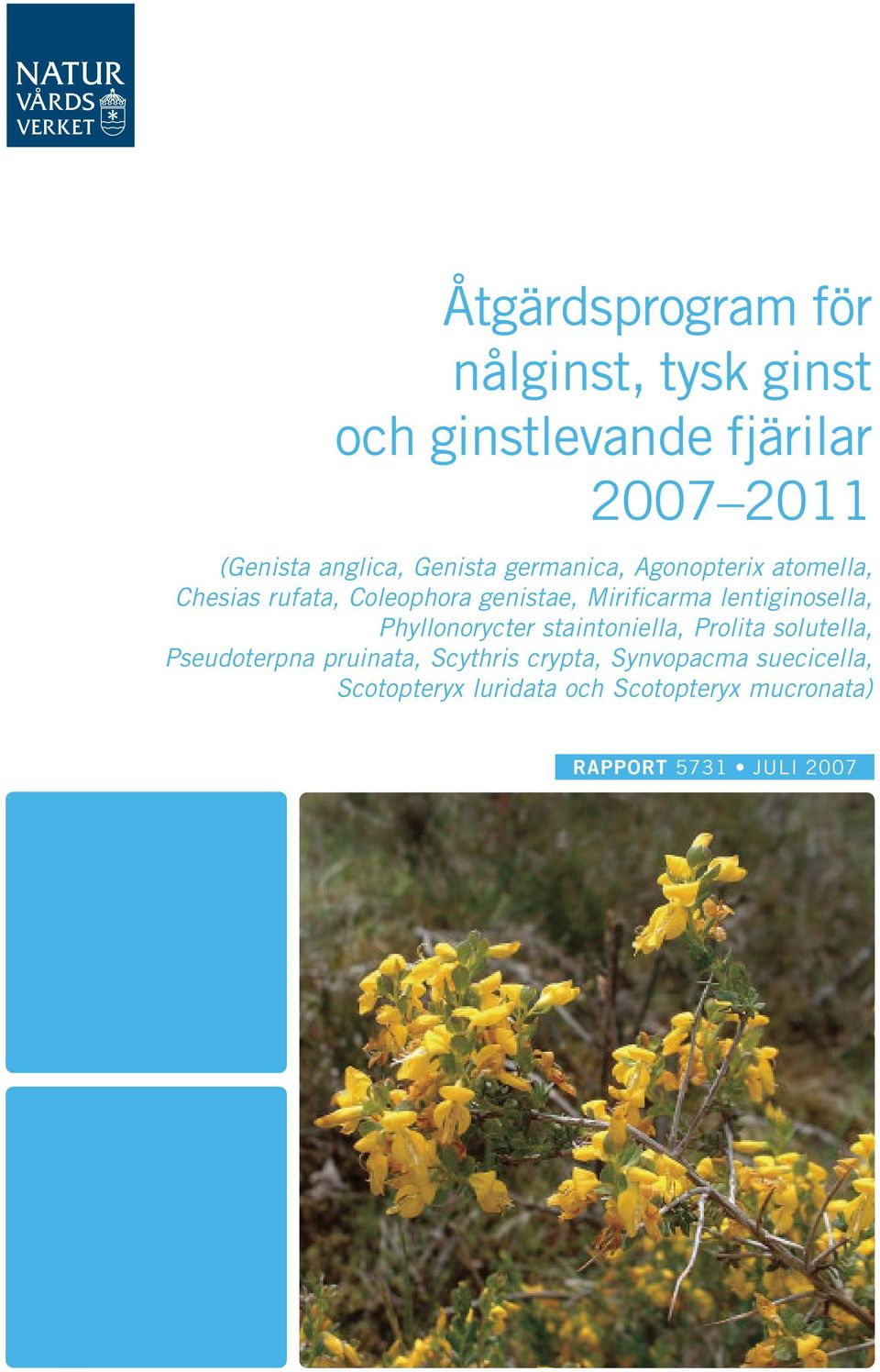 lentiginosella, Phyllonorycter staintoniella, Prolita solutella, Pseudoterpna pruinata,