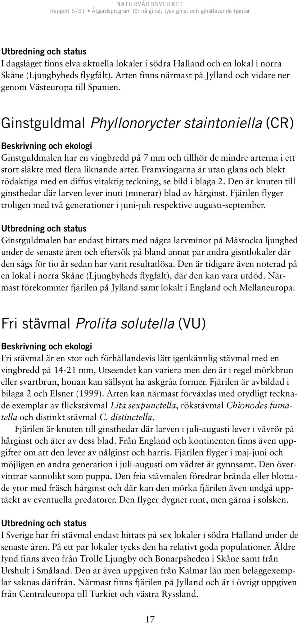 Ginstguldmal Phyllonorycter staintoniella (CR) Beskrivning och ekologi Ginstguldmalen har en vingbredd på 7 mm och tillhör de mindre arterna i ett stort släkte med flera liknande arter.