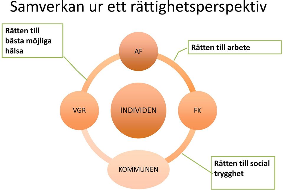 bästa möjliga hälsa AF Rätten till