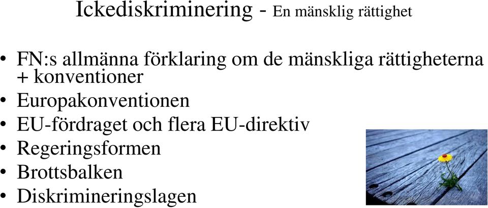 konventioner Europakonventionen EU-fördraget och