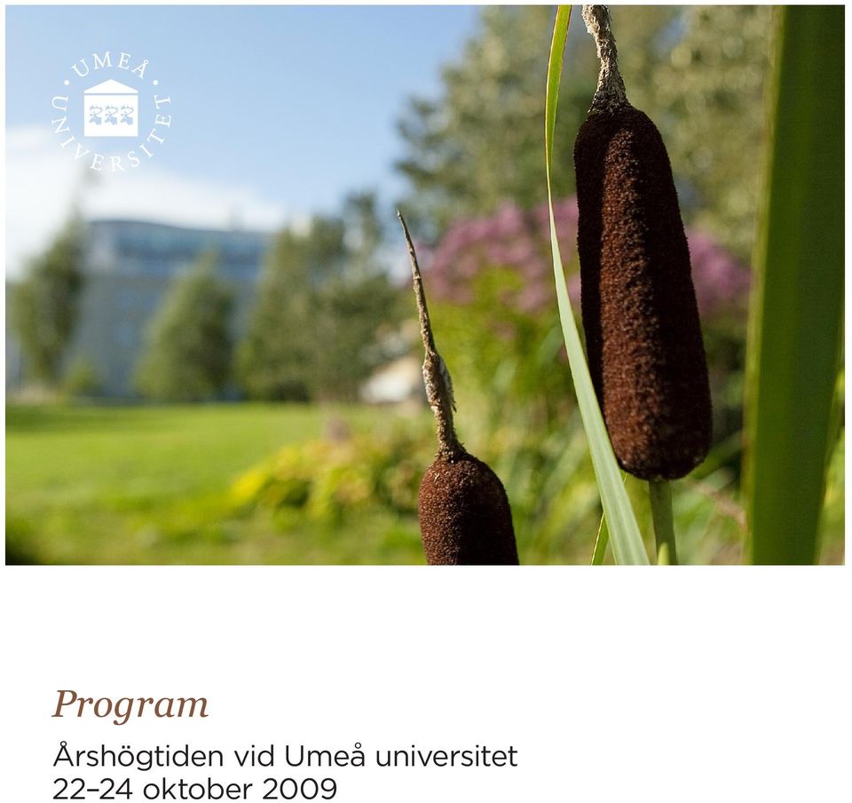 vid Umeå