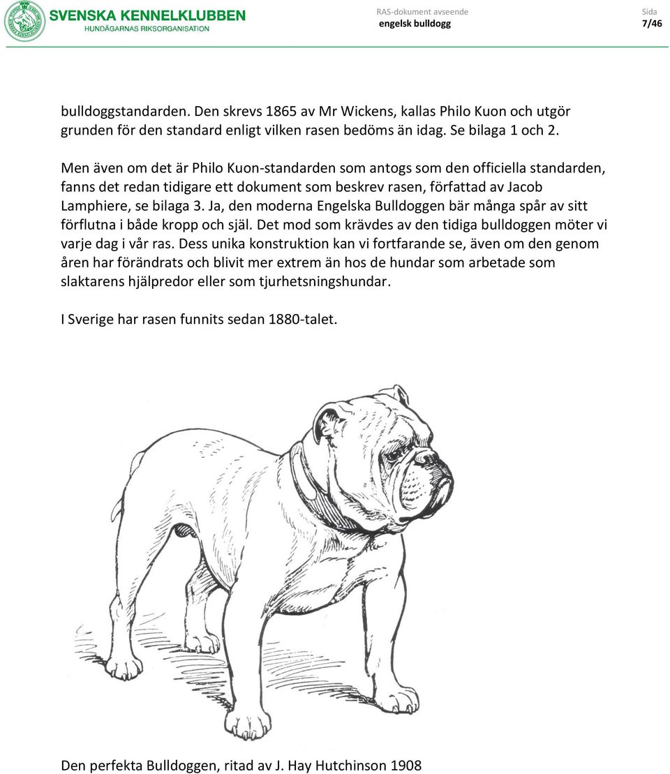 Ja, den moderna Engelska Bulldoggen bär många spår av sitt förflutna i både kropp och själ. Det mod som krävdes av den tidiga bulldoggen möter vi varje dag i vår ras.