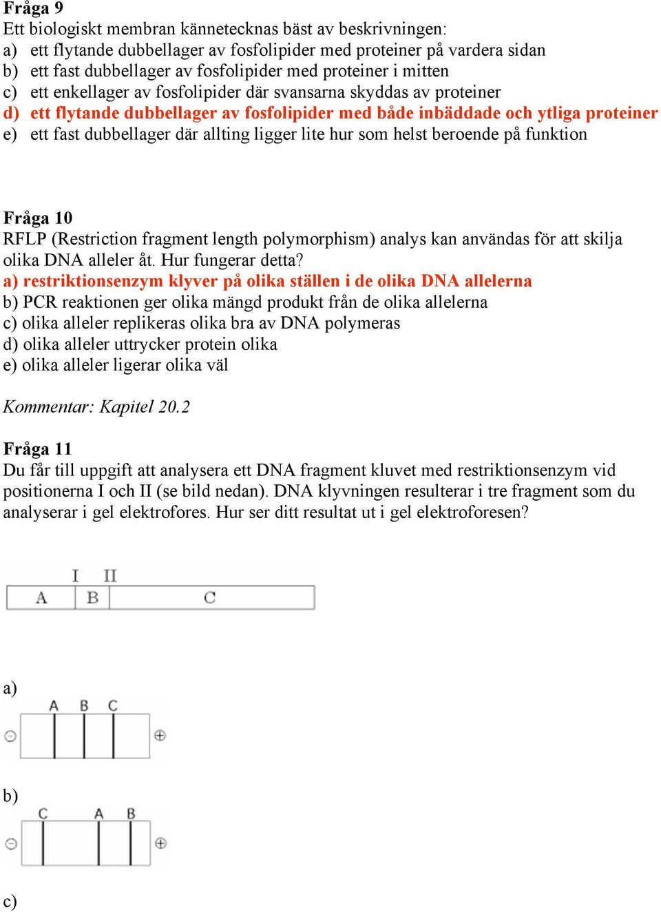 ligger lite hur som helst beroende på funktion Fråga 10 RFLP (Restriction fragment length polymorphism) analys kan användas för att skilja olika DNA alleler åt. Hur fungerar detta?