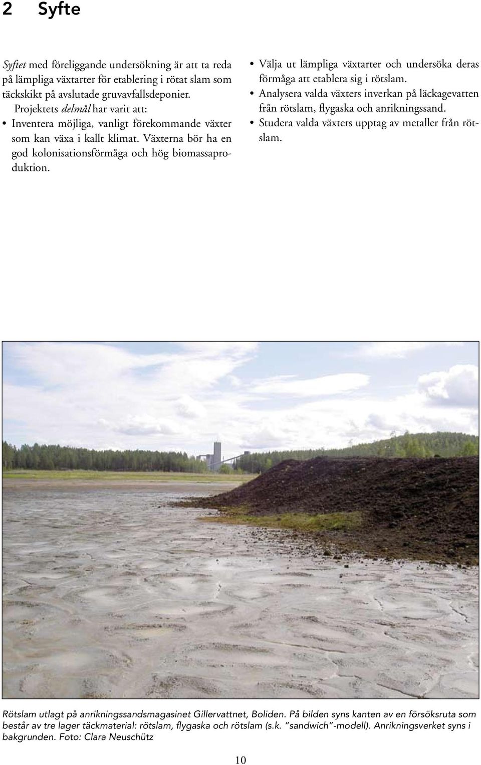 Välja ut lämpliga växtarter och undersöka deras förmåga att etablera sig i rötslam. Analysera valda växters inverkan på läckagevatten från rötslam, flygaska och anrikningssand.
