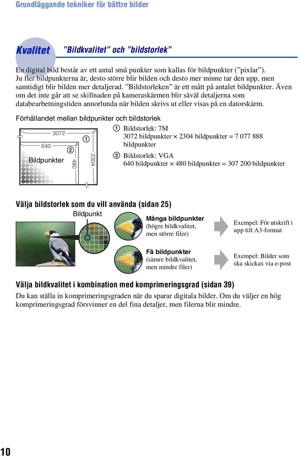 Även om det inte går att se skillnaden på kameraskärmen blir såväl detaljerna som databearbetningstiden annorlunda när bilden skrivs ut eller visas på en datorskärm.