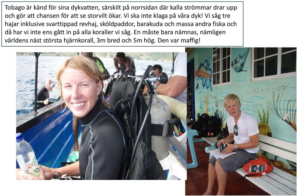 Vi såg tre hajar inklusive svarttippad revhaj, sköldpaddor, barakuda och massa andra fiska och då har